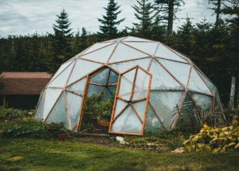 A geodesic dome greenhouse stands amidst a vibrant garden with lush greenery.