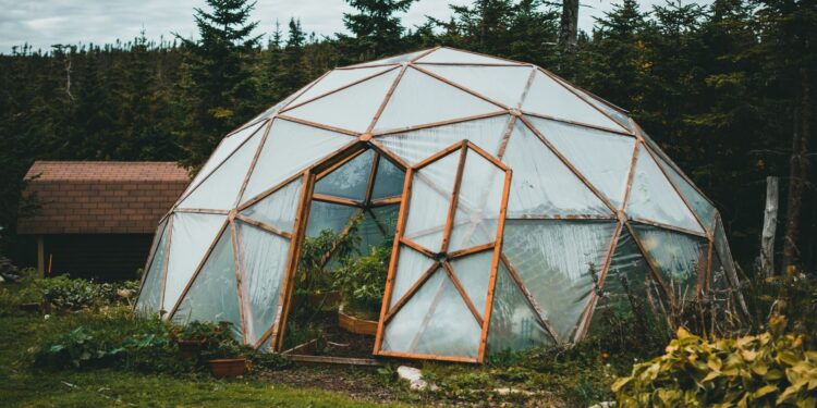 A geodesic dome greenhouse stands amidst a vibrant garden with lush greenery.