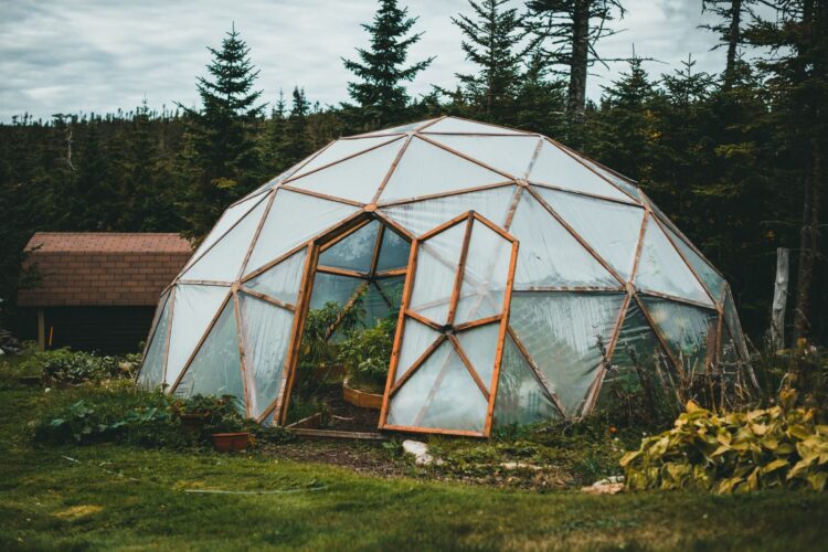 A geodesic dome greenhouse stands amidst a vibrant garden with lush greenery.